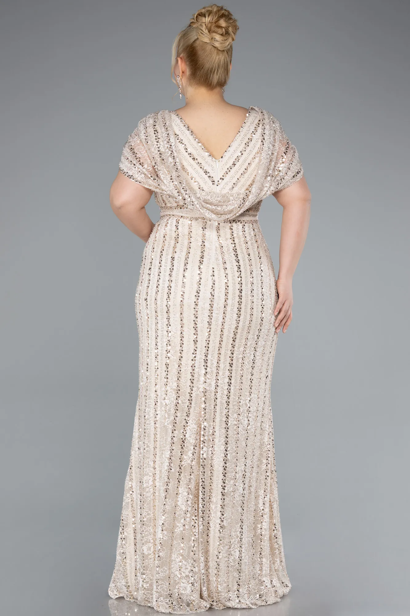 Beige-Long Dantelle Plus Size Engagement Dress ABU4948