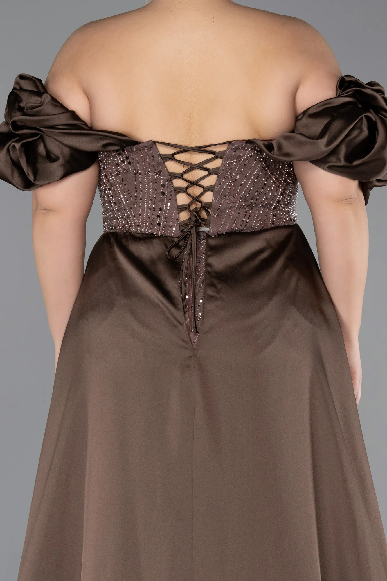 Brown-Long Beaded Plus Size Evening Dress ABU5155