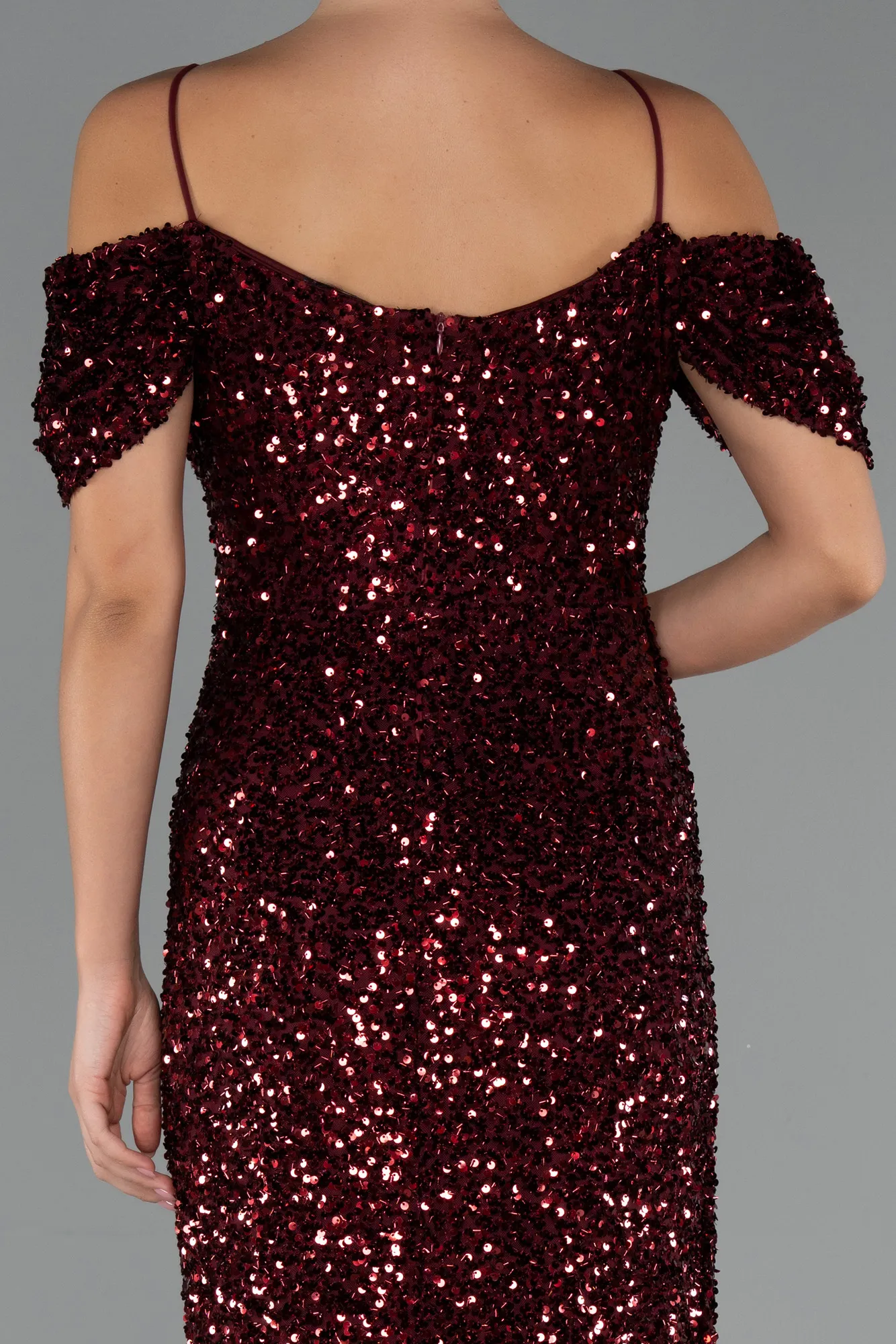 Burgundy-Long Plus Size Evening Gown ABU5232