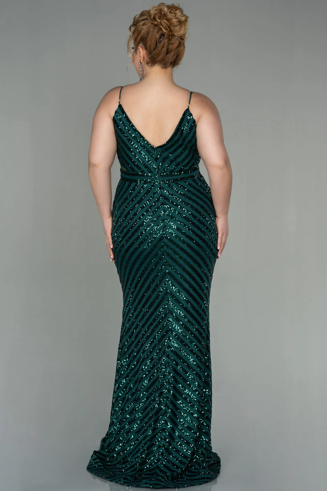 Emerald Green-Long Plus Size Evening Dress ABU1661