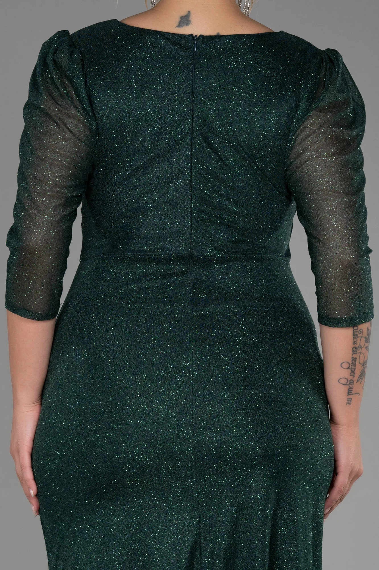 Emerald Green-Long Plus Size Evening Dress ABU3279