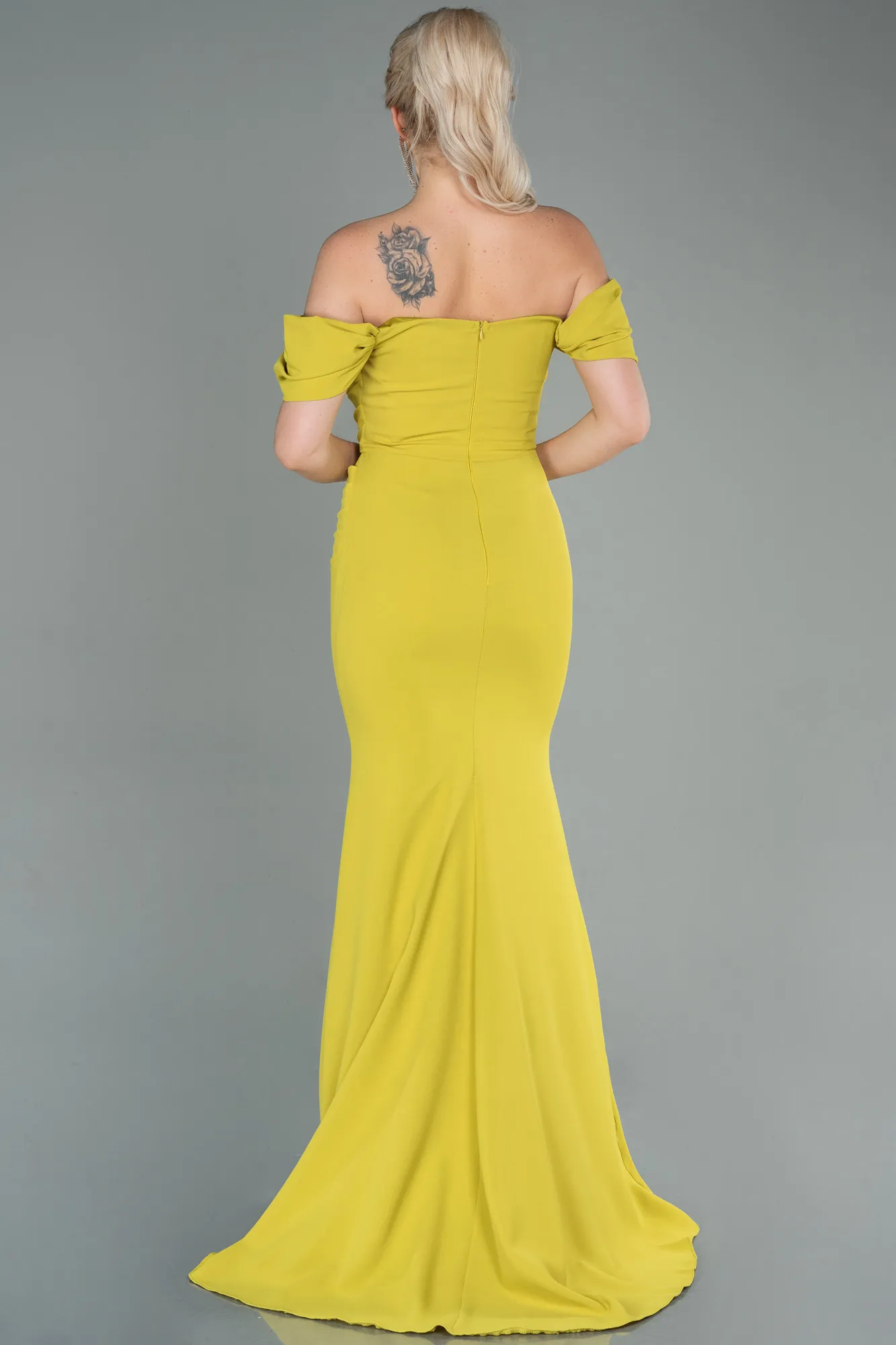 Pistachio Green-Long Prom Gown ABU2783