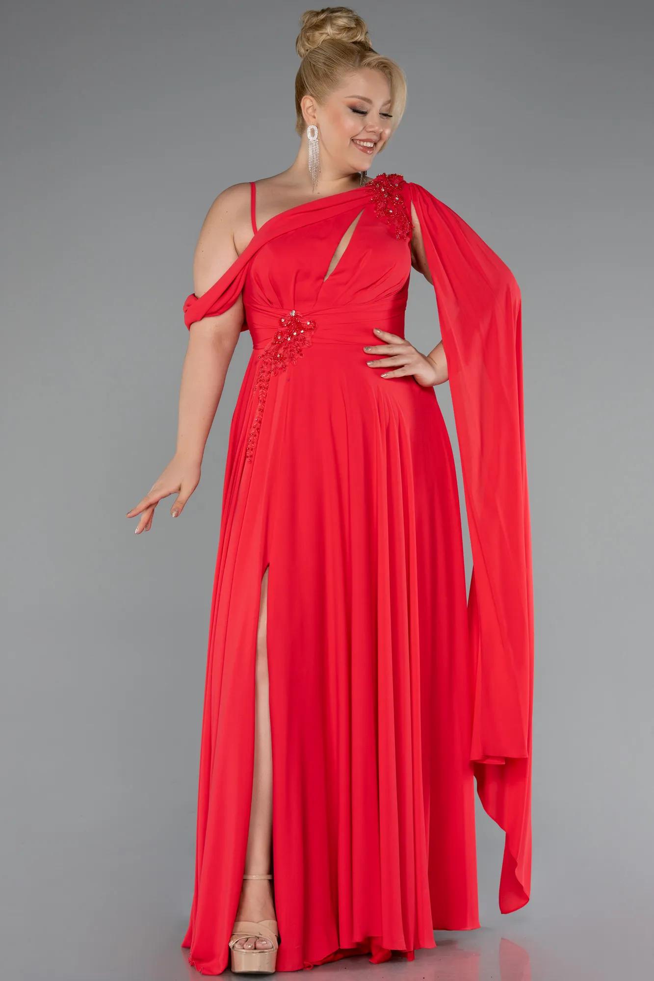 Pomegranate Flower-Long Chiffon Formal Plus Size Dress ABU5194