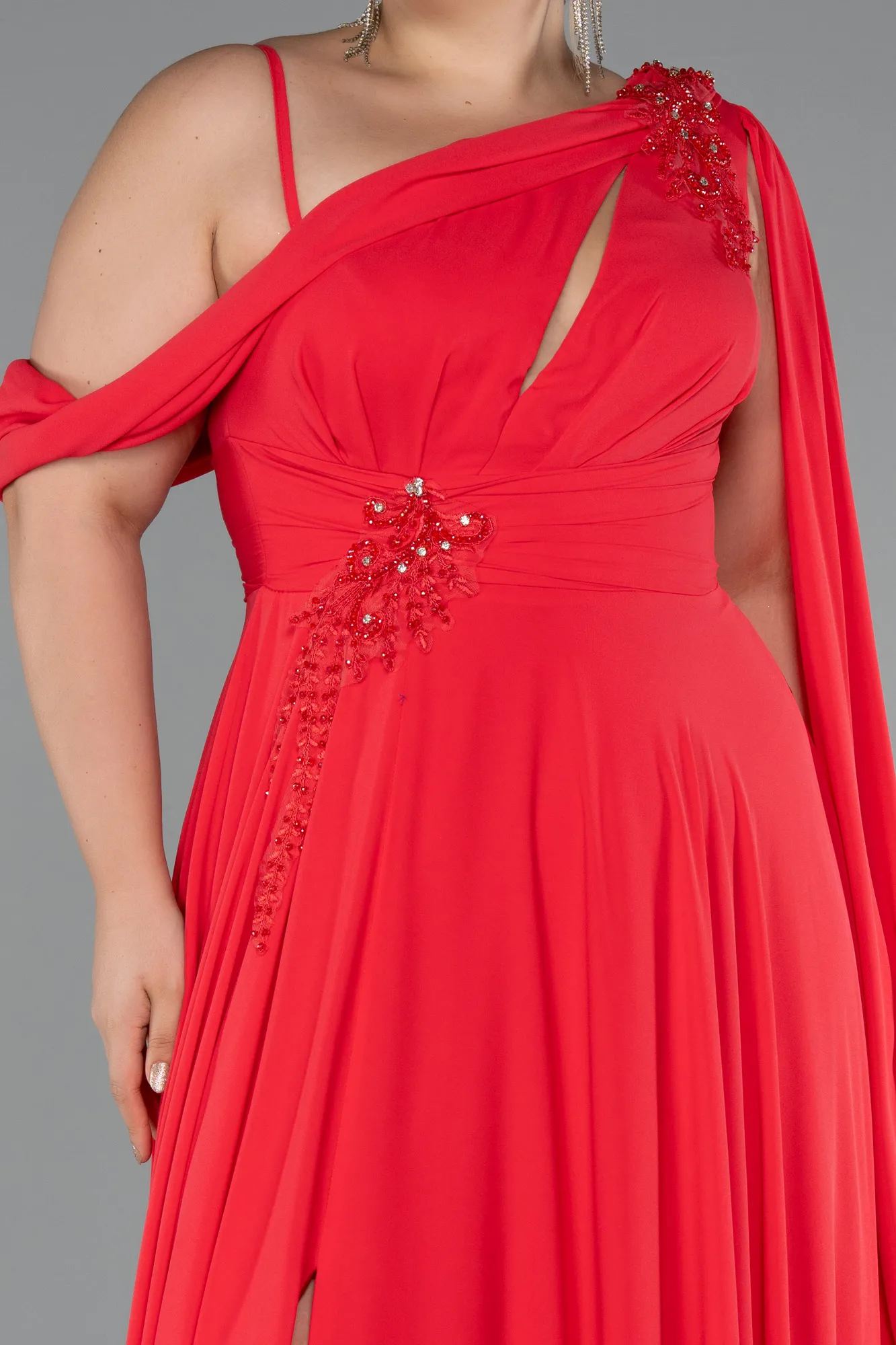 Pomegranate Flower-Long Chiffon Formal Plus Size Dress ABU5194