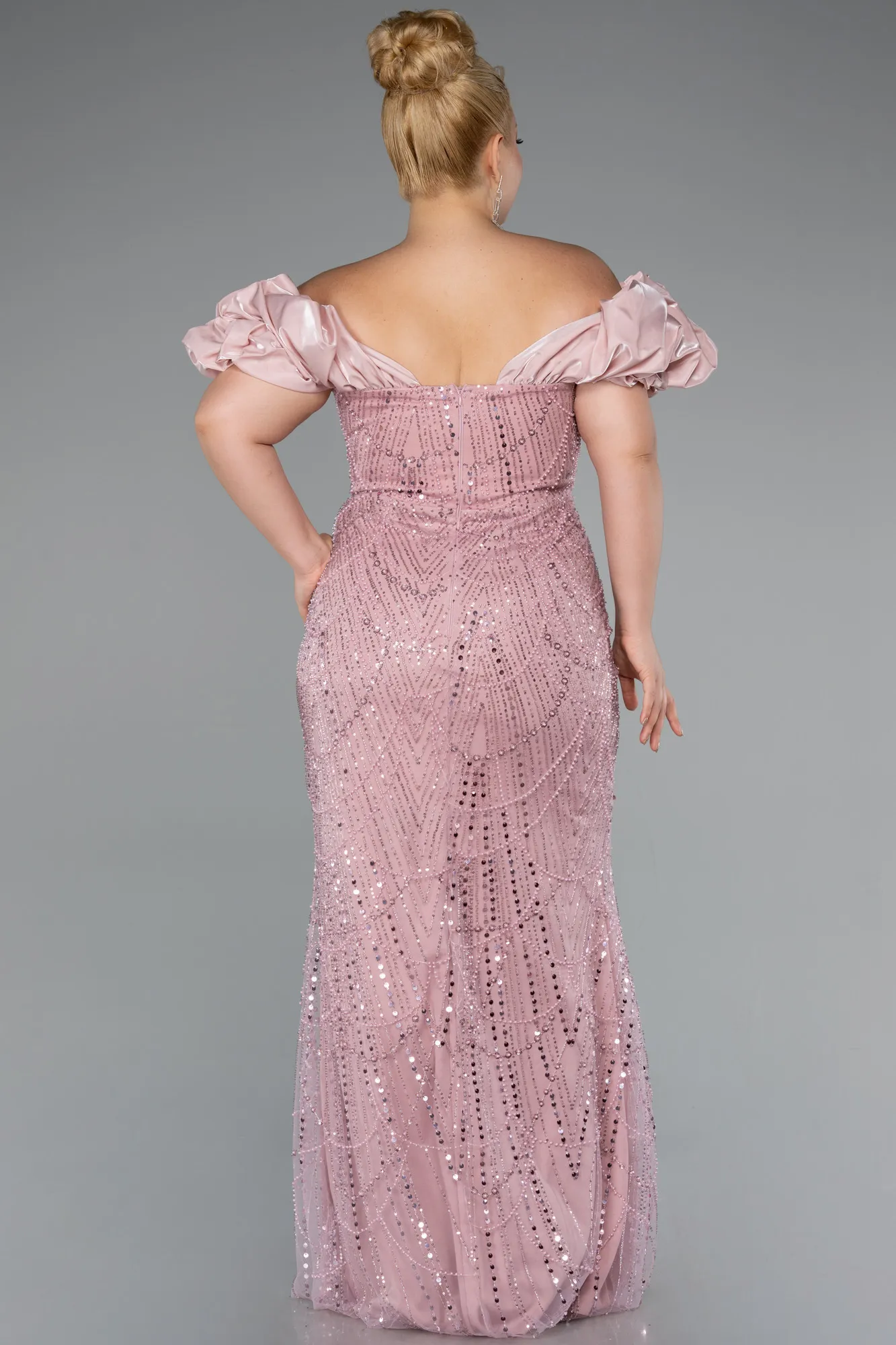 Powder Color-Long Beaded Plus Size Engagement Dress ABU4788