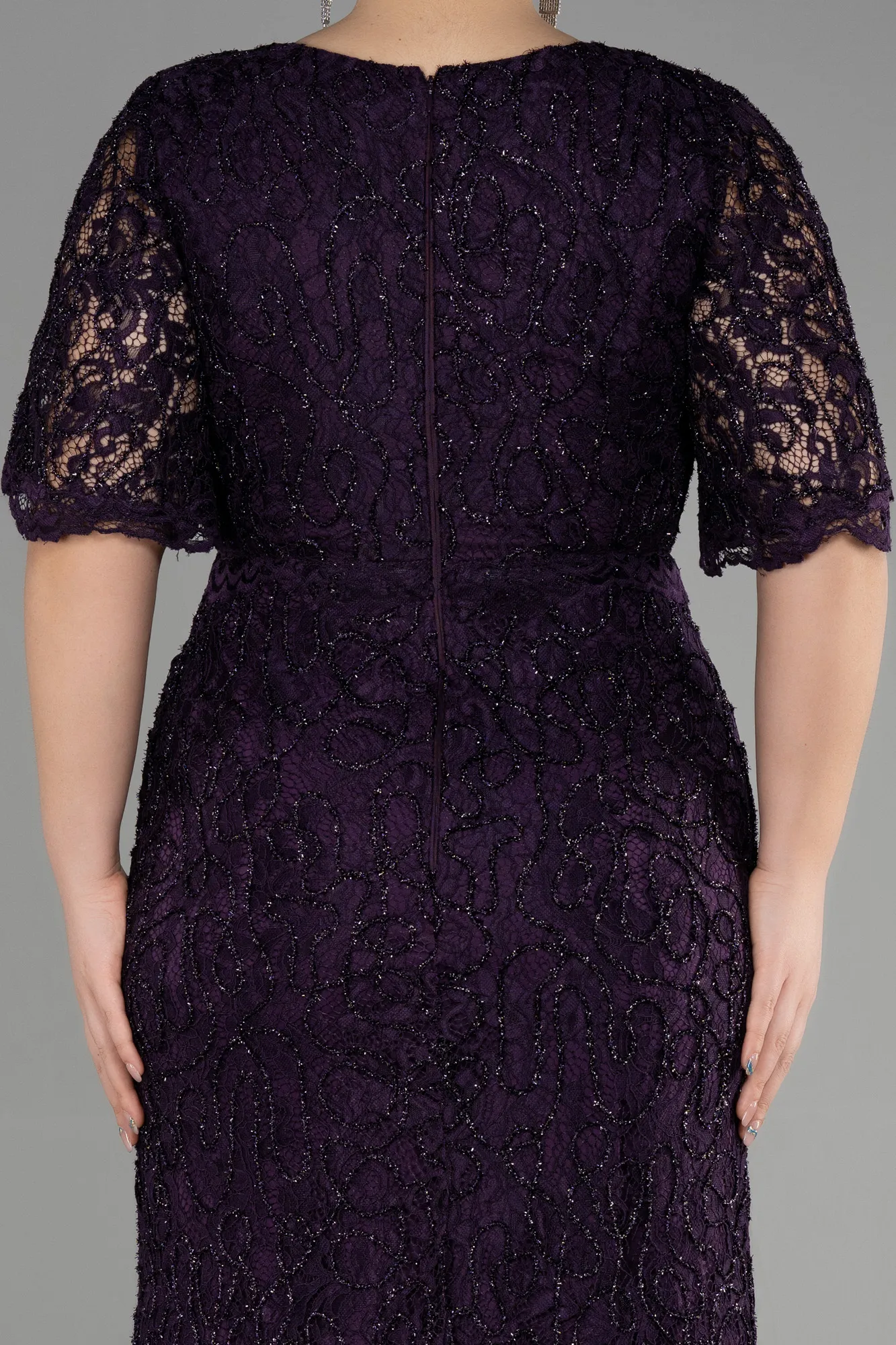 Purple-Long Laced Plus Size Engagement Dress ABU3614